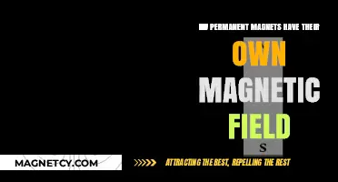 Exploring the Intrinsic Magnetic Field of Permanent Magnets
