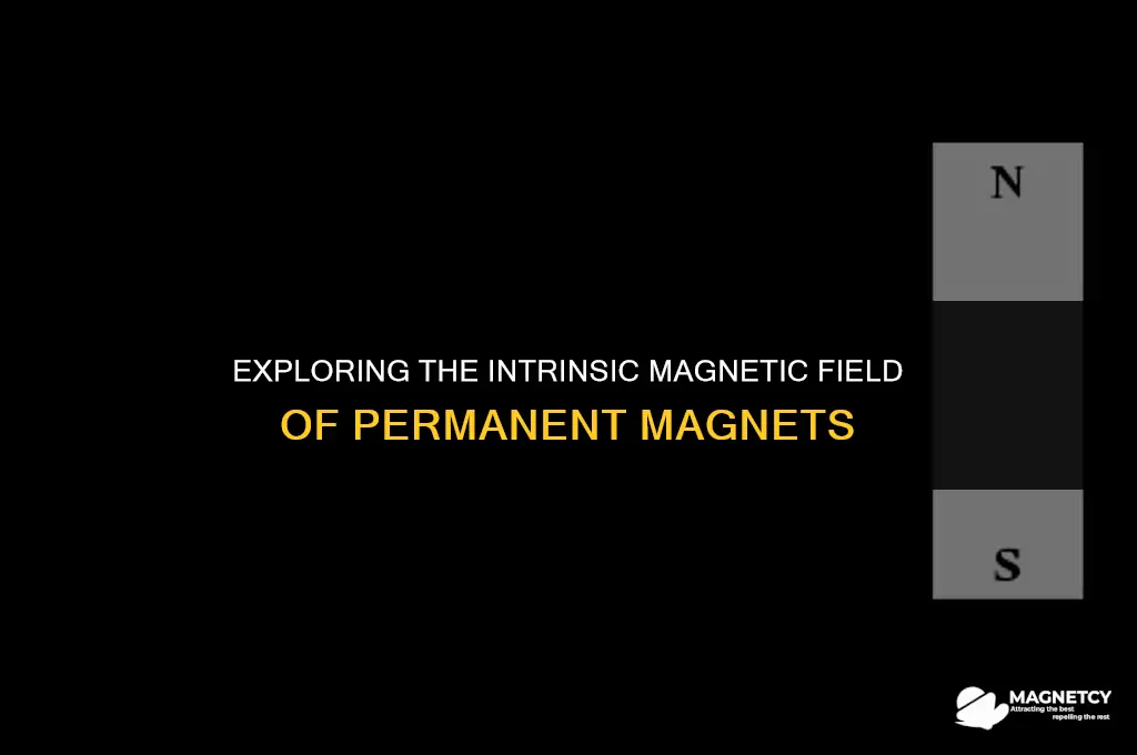 do permanent magnets have their own magnetic field