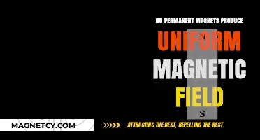 Exploring the Magnetic Field Uniformity of Permanent Magnets