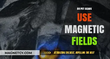 Do PET Scans Use Magnetic Fields? Unraveling Medical Imaging Myths