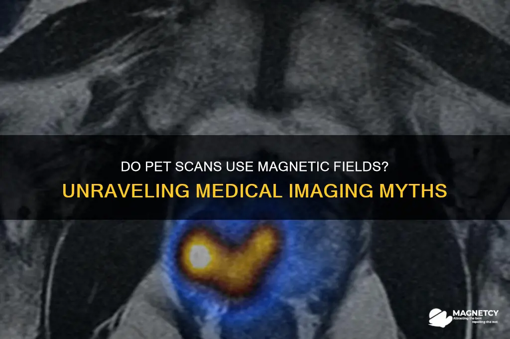 do pet scans use magnetic fields