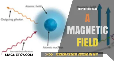 Unveiling the Hidden Magnetic Nature of Photons: A Deep Dive