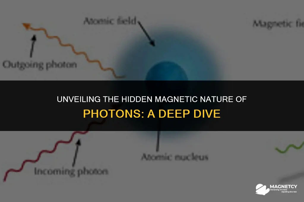 do photons have a magnetic field