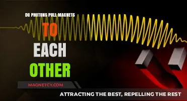 Exploring the Quantum Connection: Photons and Magnetism