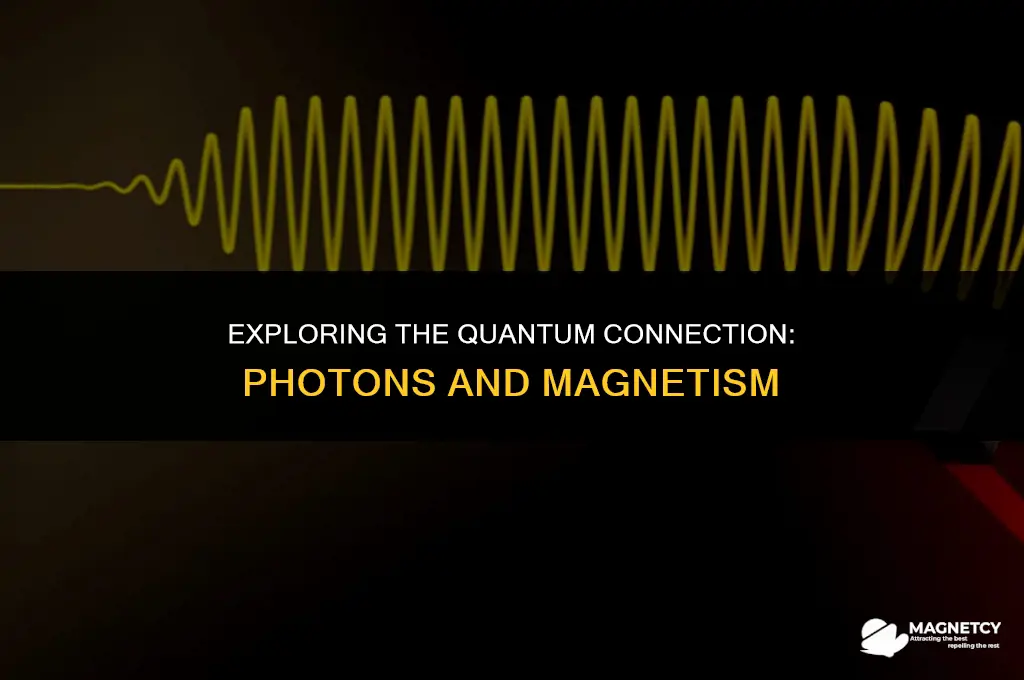 do photons pull magnets to each other