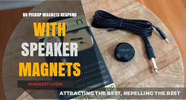 Exploring the Interaction Between Pickup and Speaker Magnets