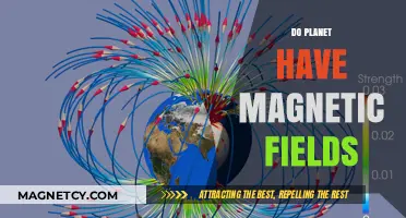 Exploring Cosmic Mysteries: Do Planets Harbor Magnetic Fields?