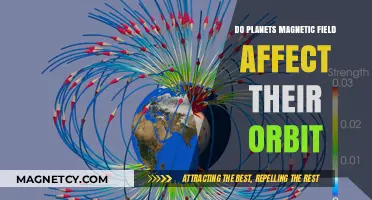 Celestial Dynamics: How Planetary Magnetic Fields Influence Orbital Paths
