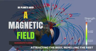 Shielded Worlds: The Magnetic Field Debate in Planetary Science