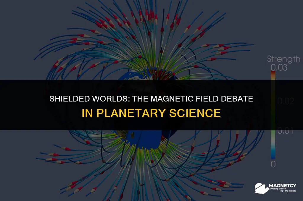 do planets need a magnetic field