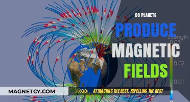 Exploring Cosmic Magnetism: Do Planets Forge Their Own Magnetic Shields?