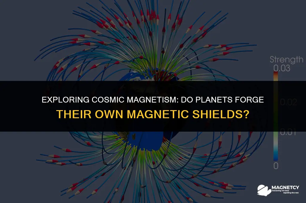 do planets produce magnetic fields