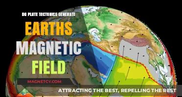 The Earth's Magnetic Field: A Product of Plate Tectonics?