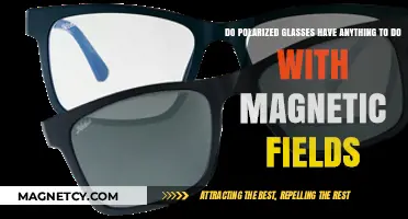 Exploring the Connection: Polarized Glasses and Magnetic Fields