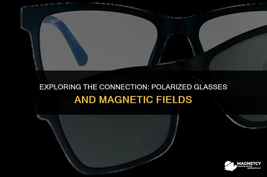 do polarized glasses have anything to do with magnetic fields