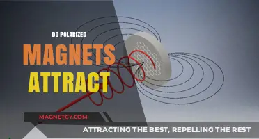 Do Polarized Magnets Attract? Unraveling Magnetic Polarization Mysteries