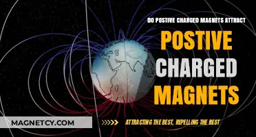 Do Positive Charged Magnets Attract? Unraveling Magnetic Polarity Myths