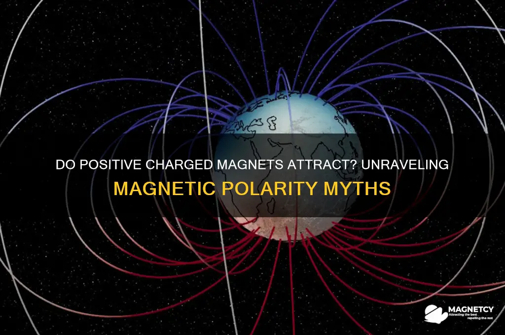 do postive charged magnets attract postive charged magnets