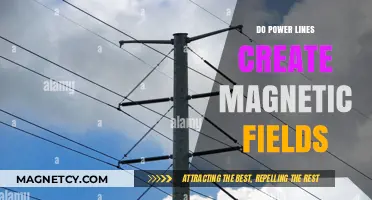 Unveiling the Truth: Do Power Lines Generate Magnetic Fields?