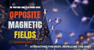 Unveiling the Magnetic Mysteries: Protons and Electrons in Opposition
