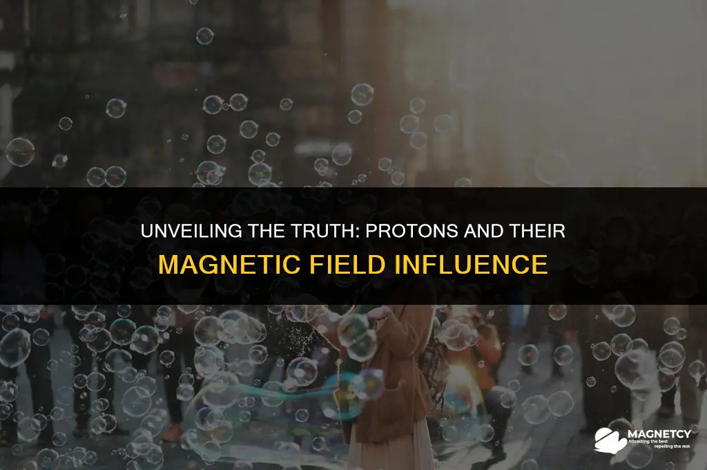 do protons create a magnetic field
