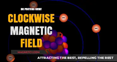 Exploring Proton Behavior: Clockwise Orbits in Magnetic Fields