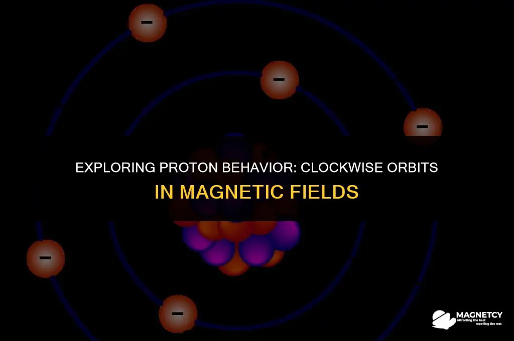 do protons orbit clockwise magnetic field