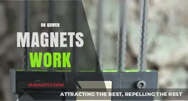 Unraveling the Mystery: Do Quiver Magnets Really Work?