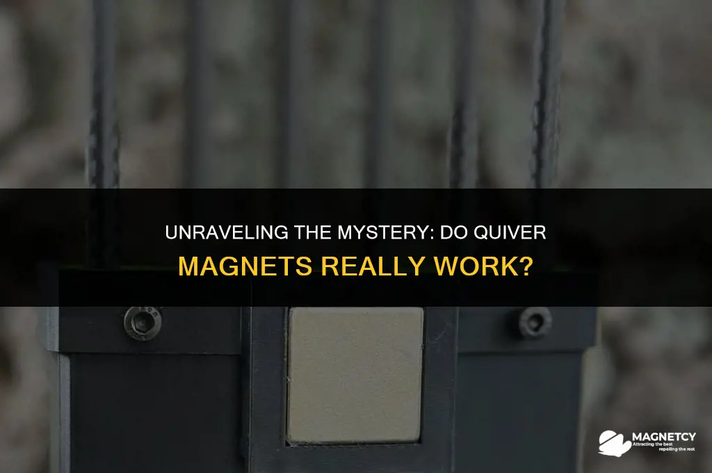 do quiver magnets work
