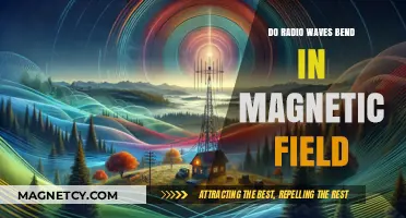 Exploring the Interaction: Do Radio Waves Bend in Magnetic Fields?