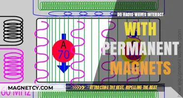Exploring the Interaction Between Radio Waves and Permanent Magnets