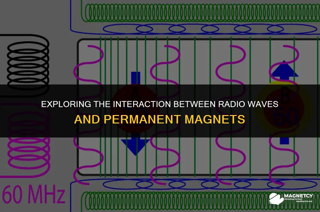 do radio waves interact with permanent magnets