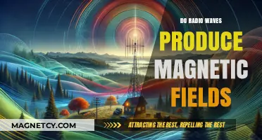 Exploring the Connection: Do Radio Waves Generate Magnetic Fields?