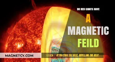 Exploring the Magnetic Mysteries of Red Giants