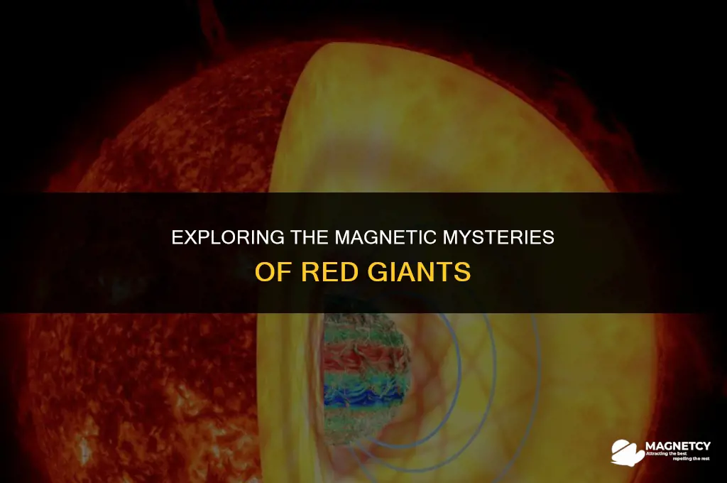 do red giants have a magnetic feild