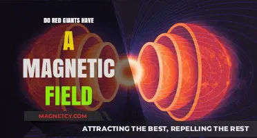 Exploring the Magnetic Mysteries of Red Giants