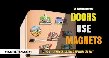 How Do Refrigerator Doors Seal? The Role of Magnets Explained