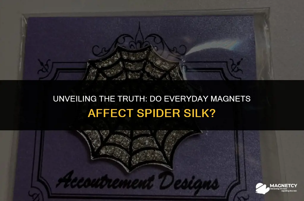 do regular magnets work on spider wrap