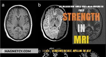 Exploring MRI Relaxation Times and Their Response to Magnetic Field Strength