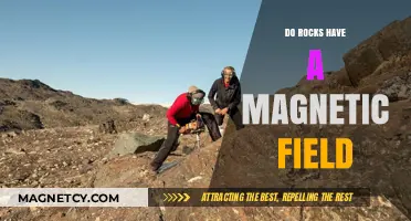 Exploring the Magnetic Mysteries of Rocks: A Deep Dive