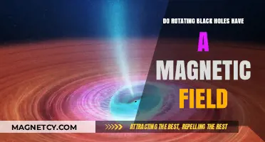 Unveiling the Magnetic Mysteries of Rotating Black Holes