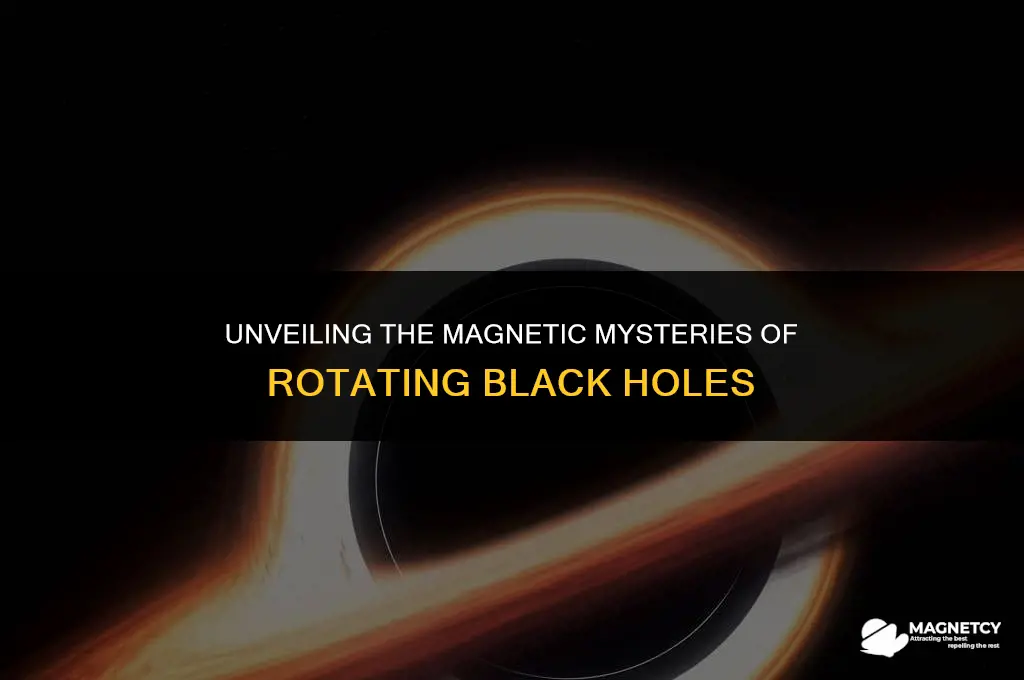 do rotating black holes have a magnetic field