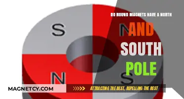 Exploring Magnetism: Do Round Magnets Have a North and South Pole?