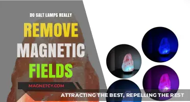 Debunking Myths: The Truth About Salt Lamps and Magnetic Fields