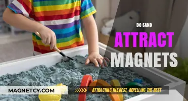 Does Sand Attract Magnets? Unveiling the Magnetic Truth About Sand