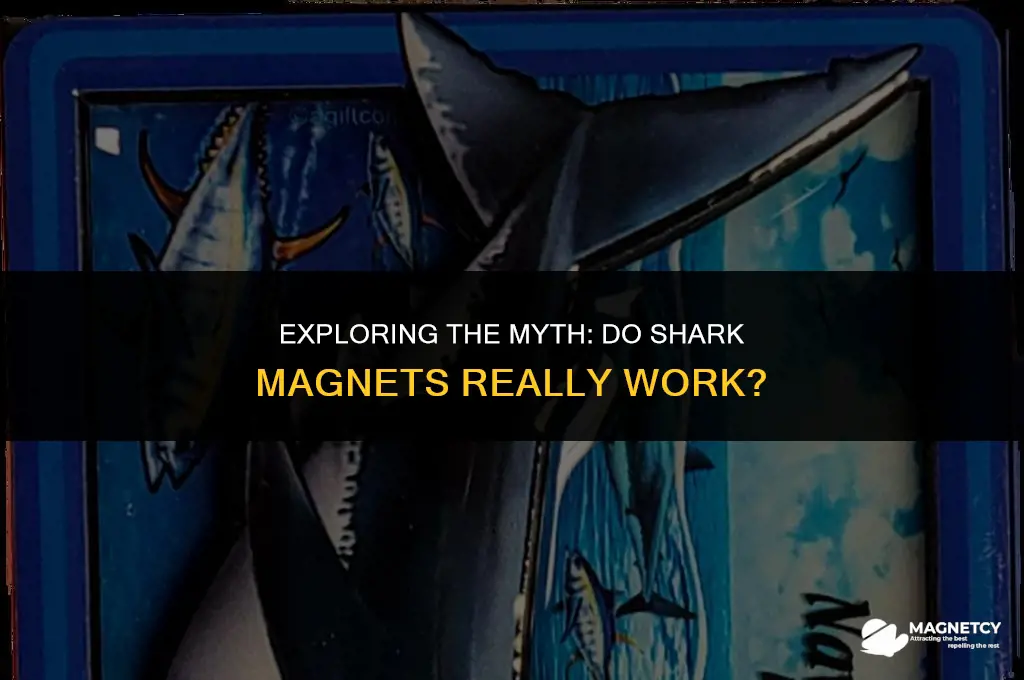 do shark magnets work