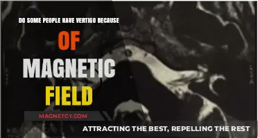 Exploring the Link: Magnetic Fields and Vertigo Symptoms