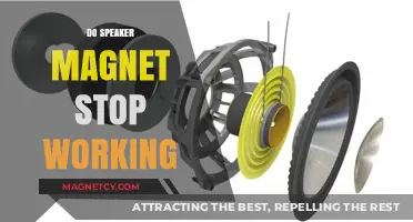 Do Speaker Magnets Lose Their Mojo Over Time?