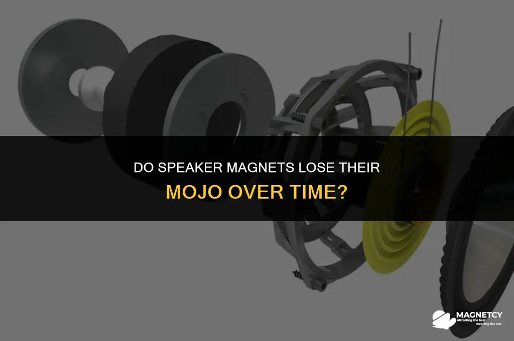 do speaker magnet stop working