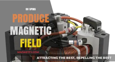 Unveiling the Connection: Spins and Magnetic Fields Explained